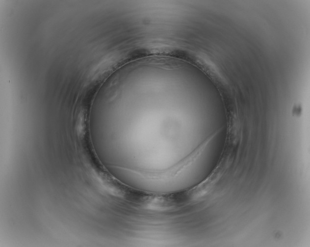 X0000091590074200709101049