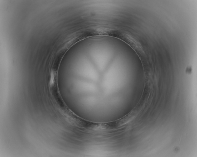 X0000091590075200709101049