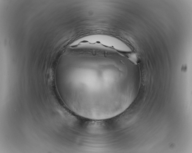 X0000091590077200709101049