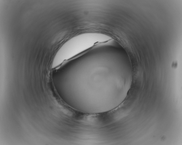 X0000091590078200709101049