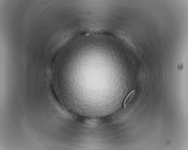 X0000091590079200709101049