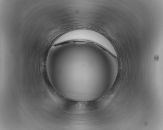 X0000091590080200709101049