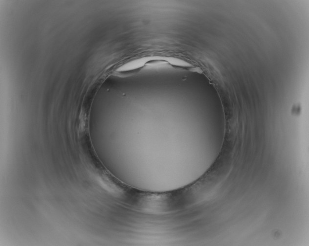 X0000091590081200709101049