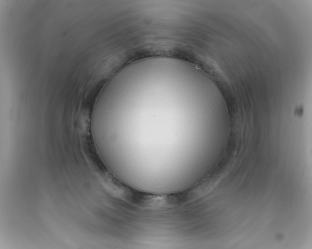 X0000091590083200709101049