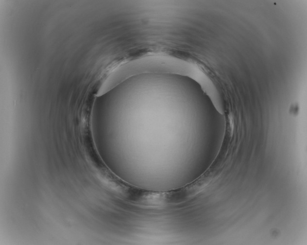 X0000091590084200709101049