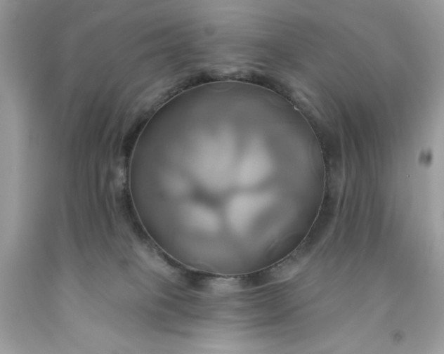 X0000091590085200709101049