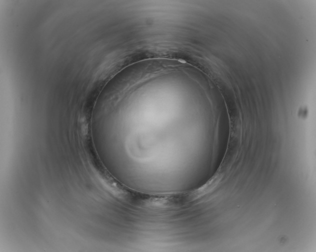 X0000091590086200709101049