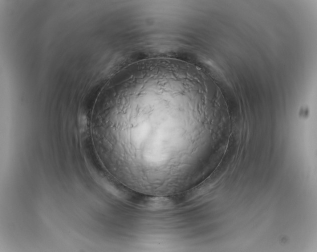 X0000091590087200709101049