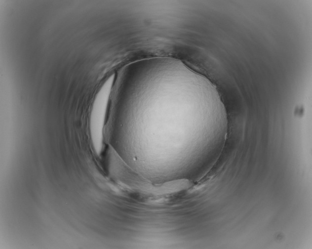 X0000091590088200709101049