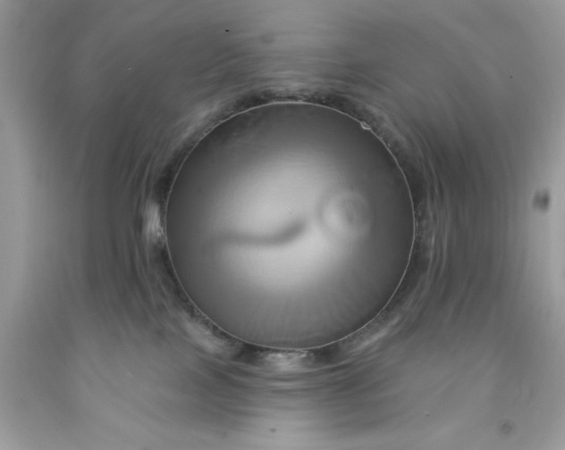 X0000091590089200709101049