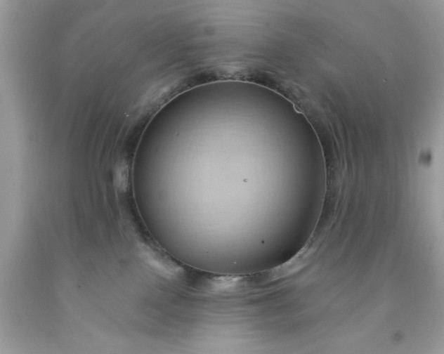 X0000091590090200709101049