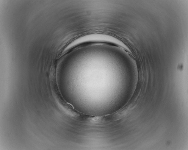 X0000091590092200709101049