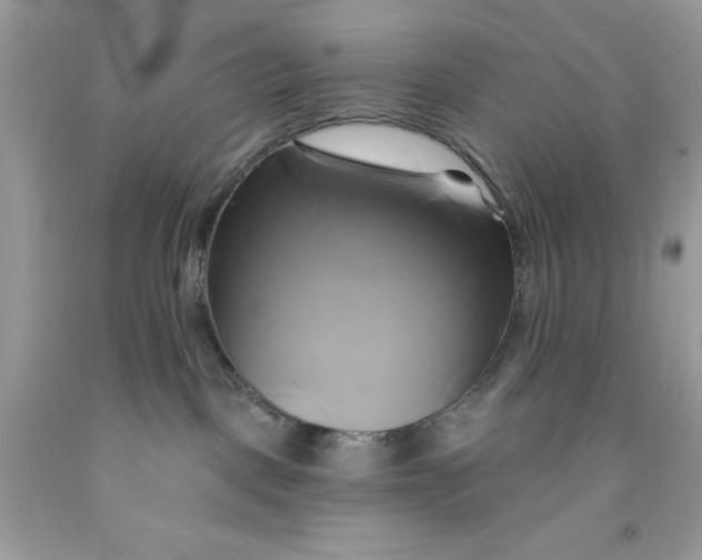 X0000091590093200709101049