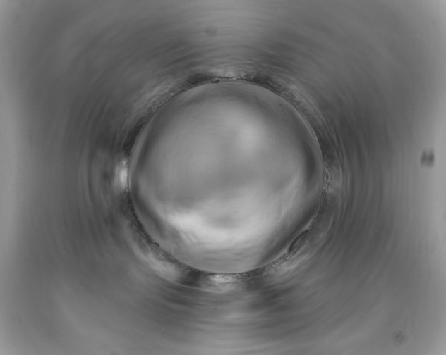 X0000091590095200709101049