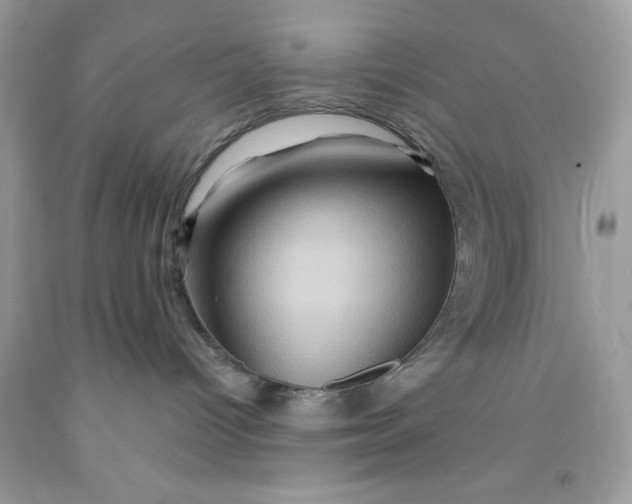 X0000091590096200709101049