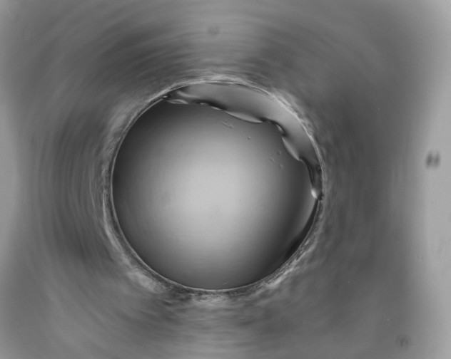 X0000091590097200709101049