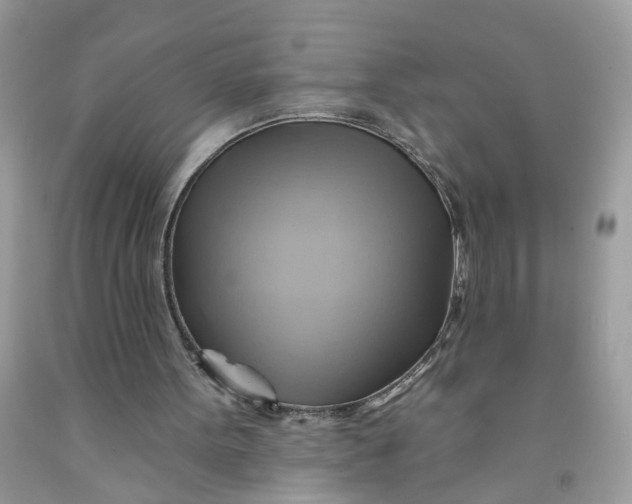 X0000091590099200709101049