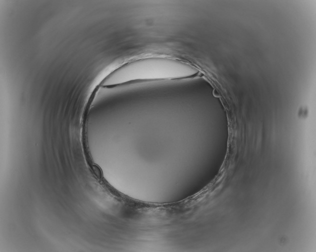 X0000091590100200709101049