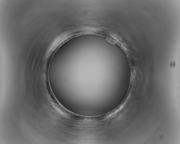 X0000091590101200709101049