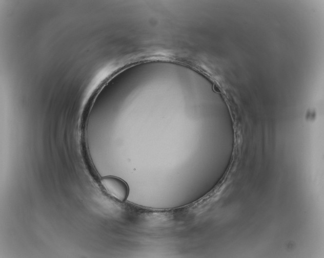 X0000091590102200709101049