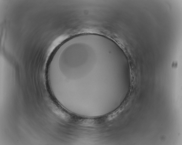 X0000091590104200709101049