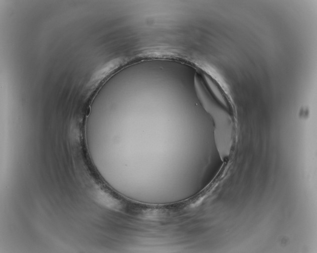 X0000091590105200709101049