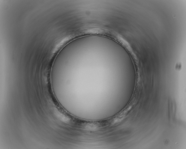 X0000091590106200709101049