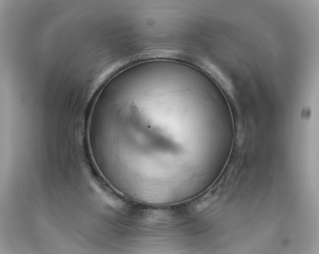 X0000091590107200709101049