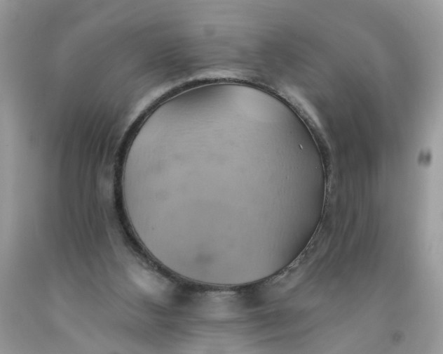 X0000091590108200709101049