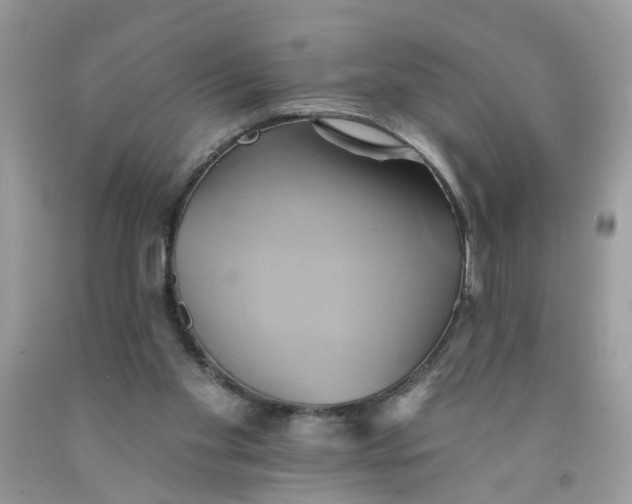 X0000091590109200709101049