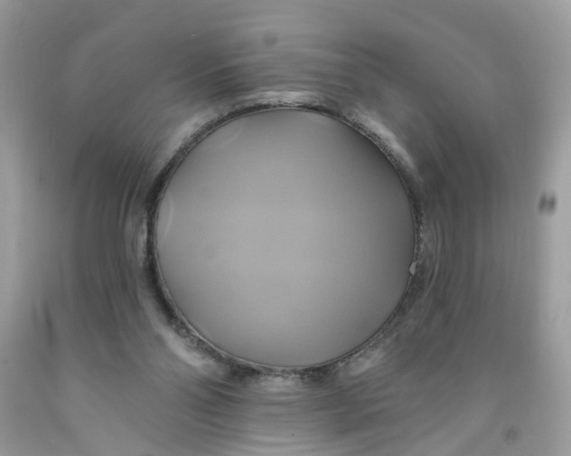 X0000091590110200709101049