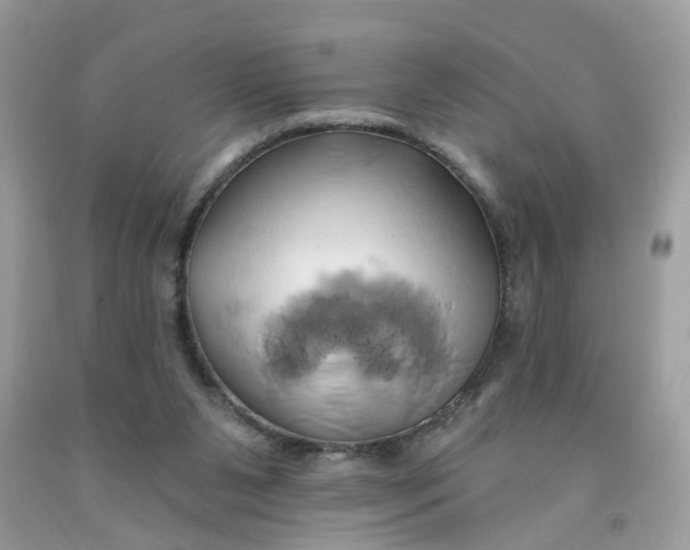 X0000091590111200709101049