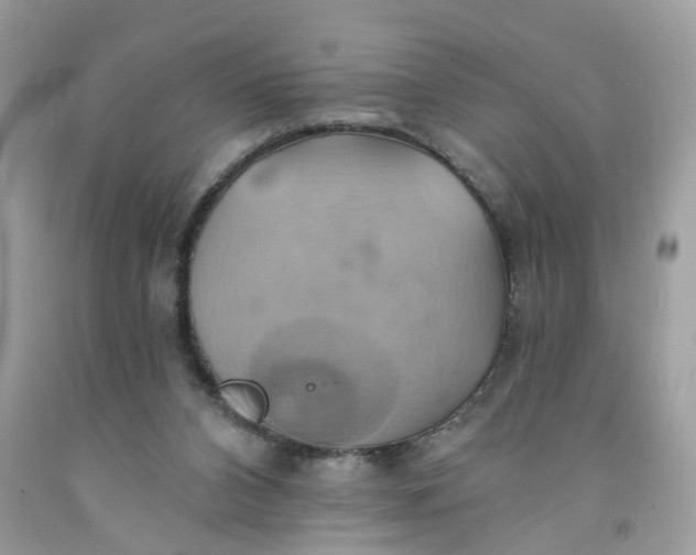 X0000091590112200709101049