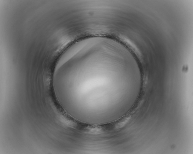 X0000091590113200709101048