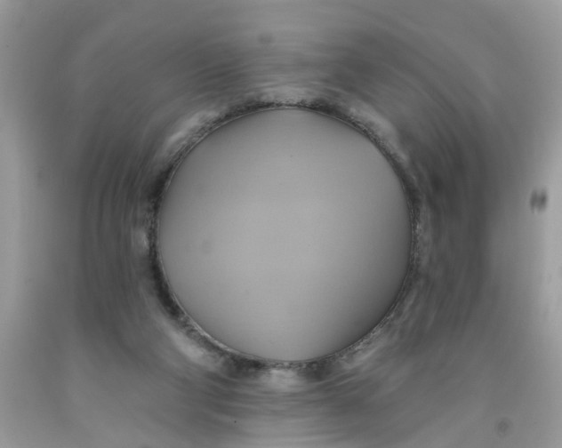 X0000091590114200709101048