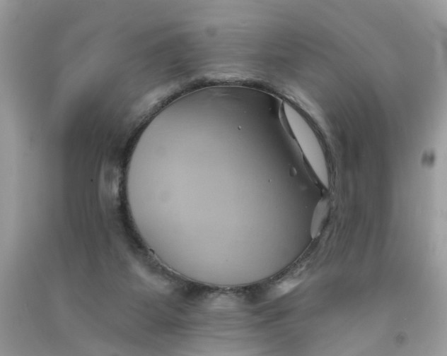 X0000091590115200709101048