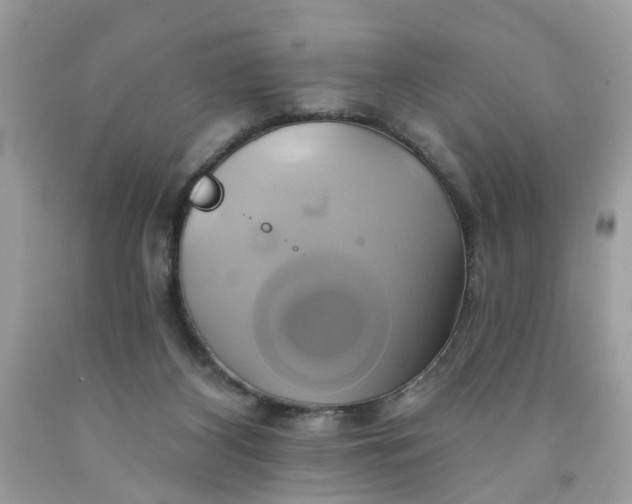 X0000091590116200709101048