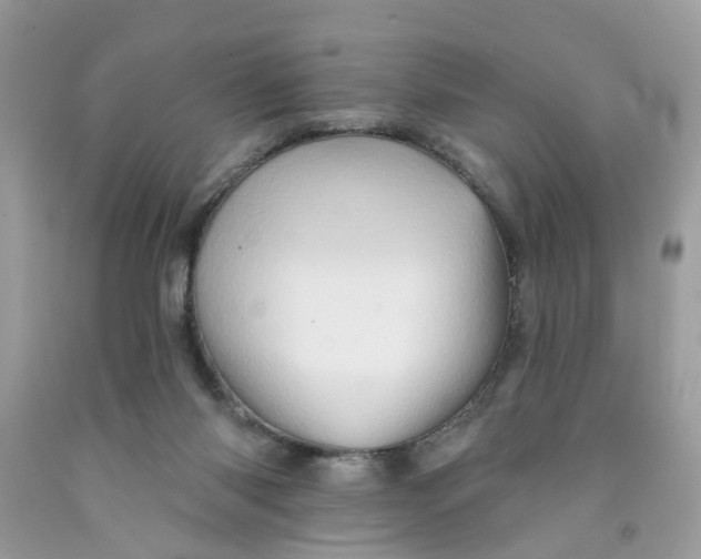 X0000091590118200709101048