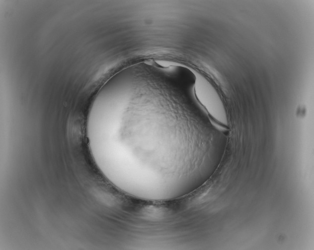 X0000091590119200709101048