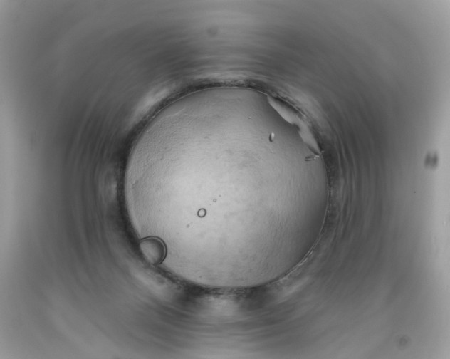 X0000091590120200709101048