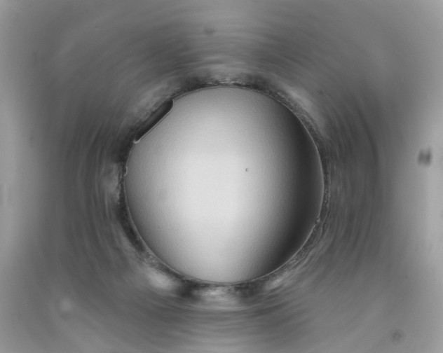 X0000091590121200709101048