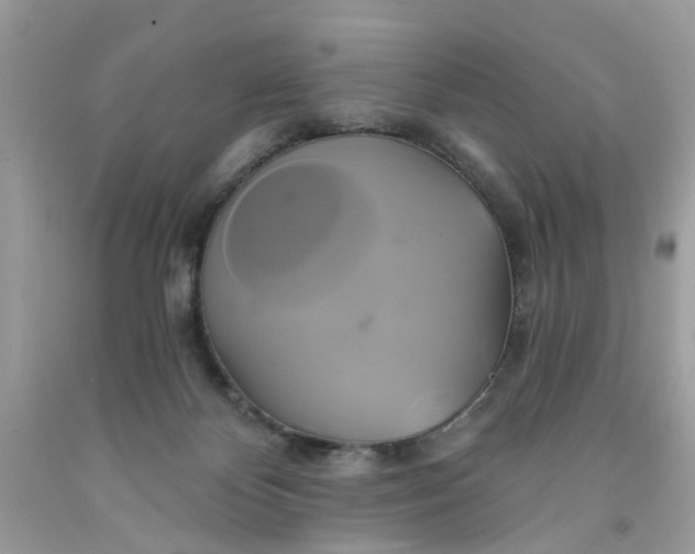 X0000091590124200709101048