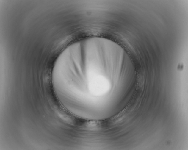 X0000091590126200709101048