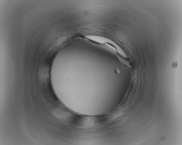 X0000091590127200709101048