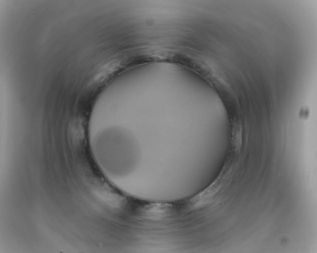 X0000091590128200709101048