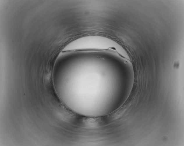 X0000091590129200709101048