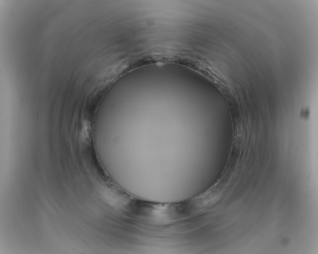 X0000091590130200709101048