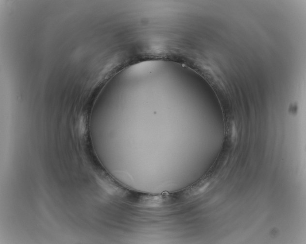 X0000091590131200709101048