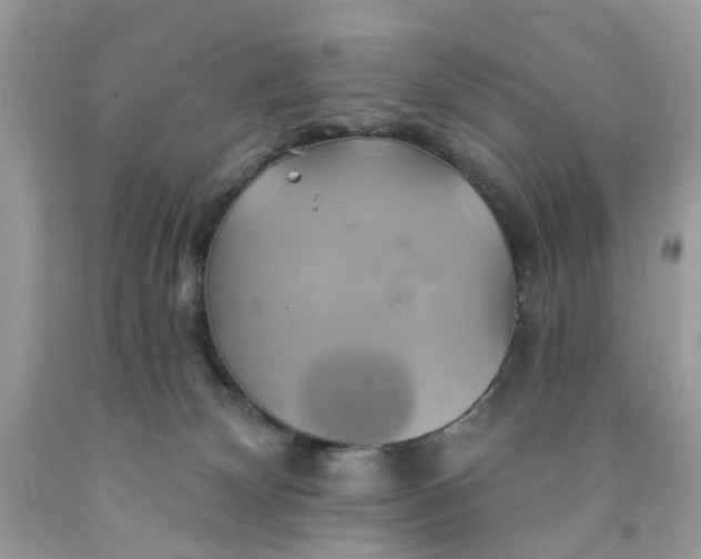 X0000091590132200709101048