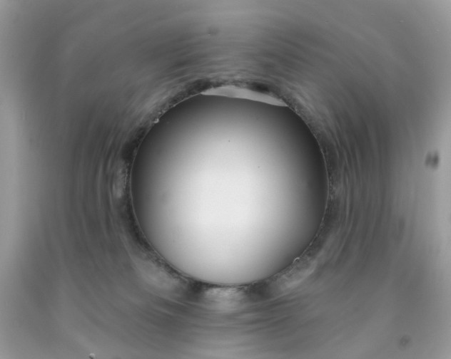 X0000091590133200709101048